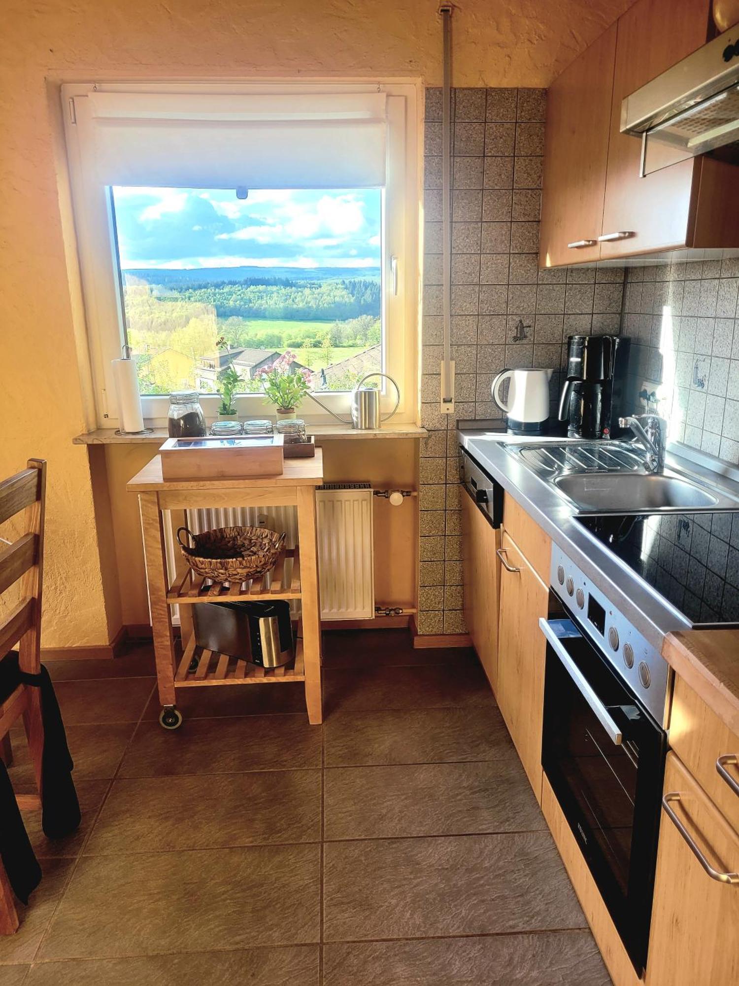 Ferienhaus Wilder Hunsrueck Schmissberg Buitenkant foto